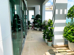The Berth By The Cove (D4), Condominium #437175421